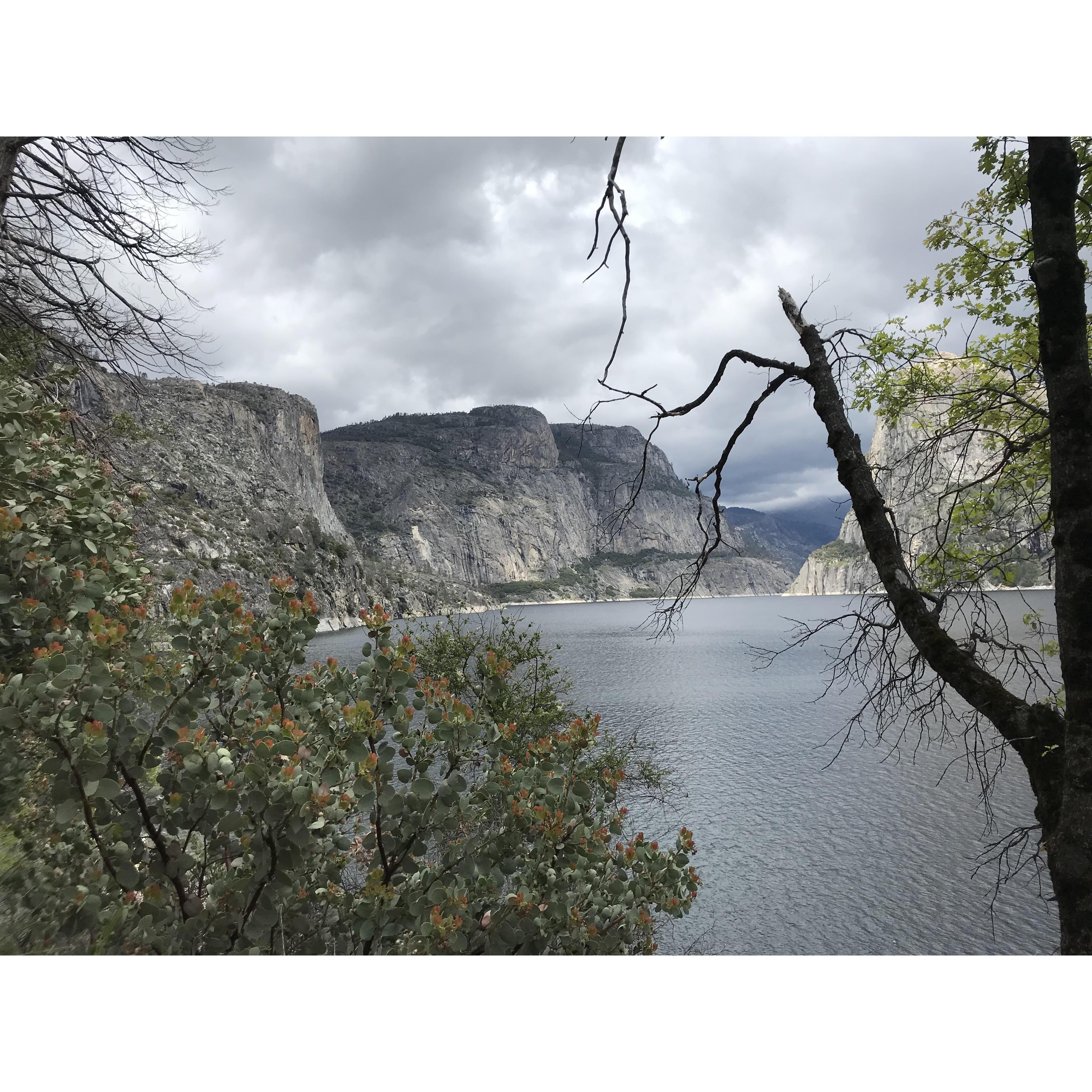 The spot where Dan proposed in Yosemite