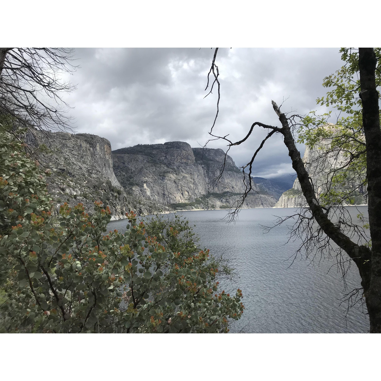 The spot where Dan proposed in Yosemite