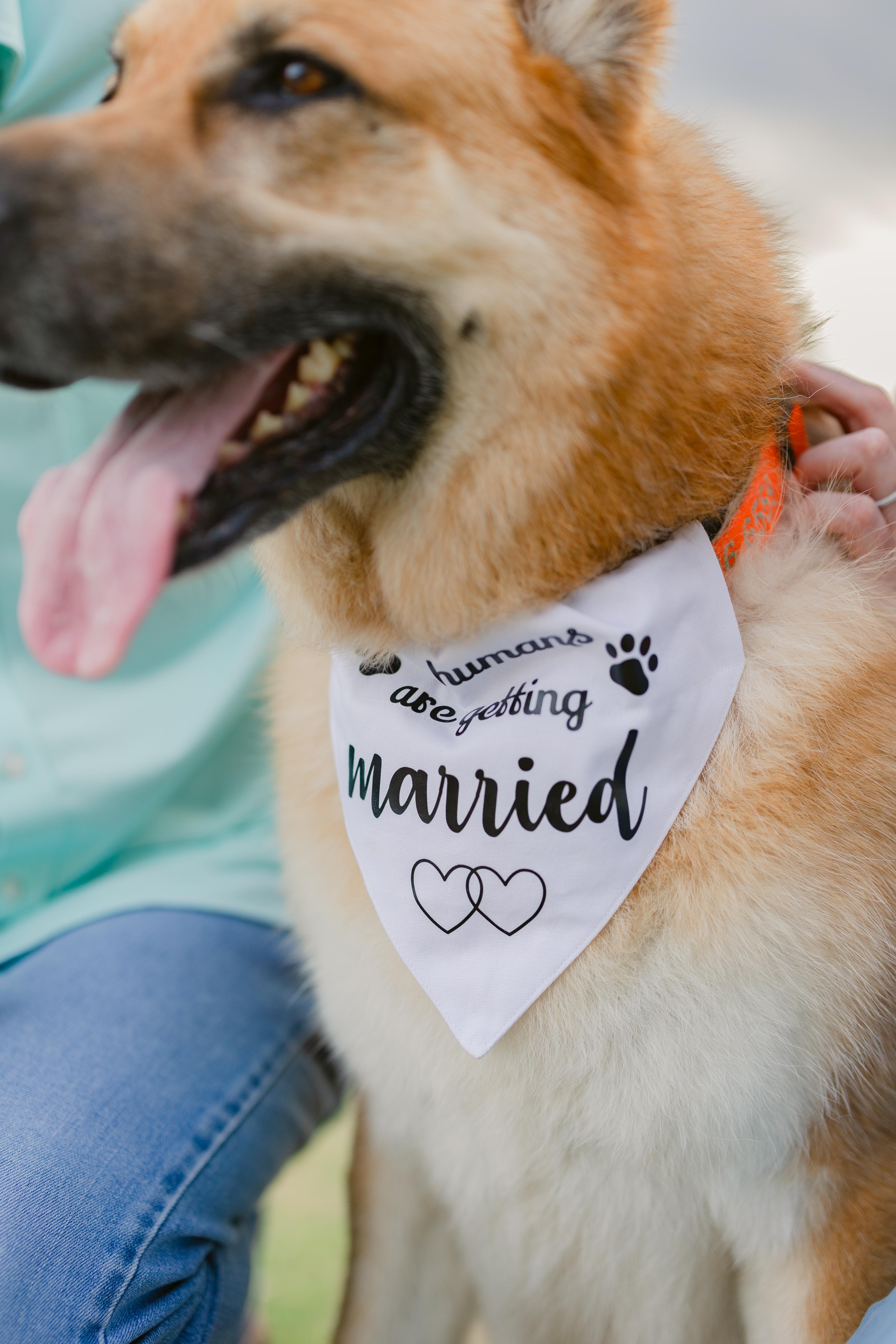 The Wedding Website of Paul Finazzo and Samantha Heffernan