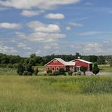 Happy Valley Vineyard and Winery