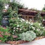 Rancho Santa Fe Downtown