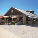 The Old Salty Dog
