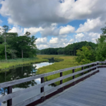 Junction and Breakwater Trail