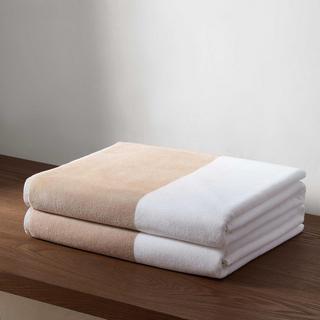 Poolside Terry Beach Towel, Set of 2