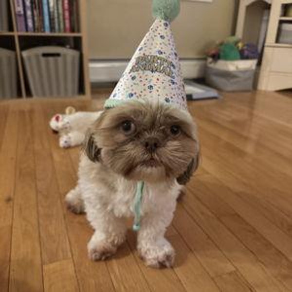 Norman’s Toy Fund