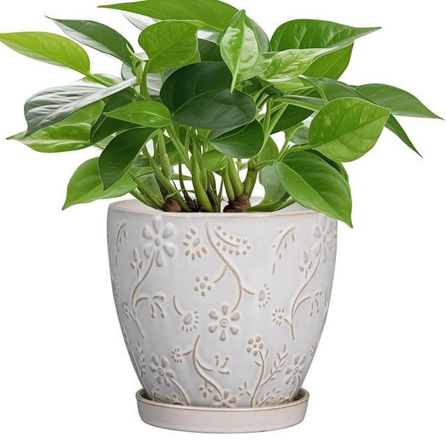 MPotTo 6 Inch Ceramic Plant Pot for Indoor Plants Outdoor Round Planter Flower Pot with Drainage Hole and Saucer for Home Garden Office Decor White