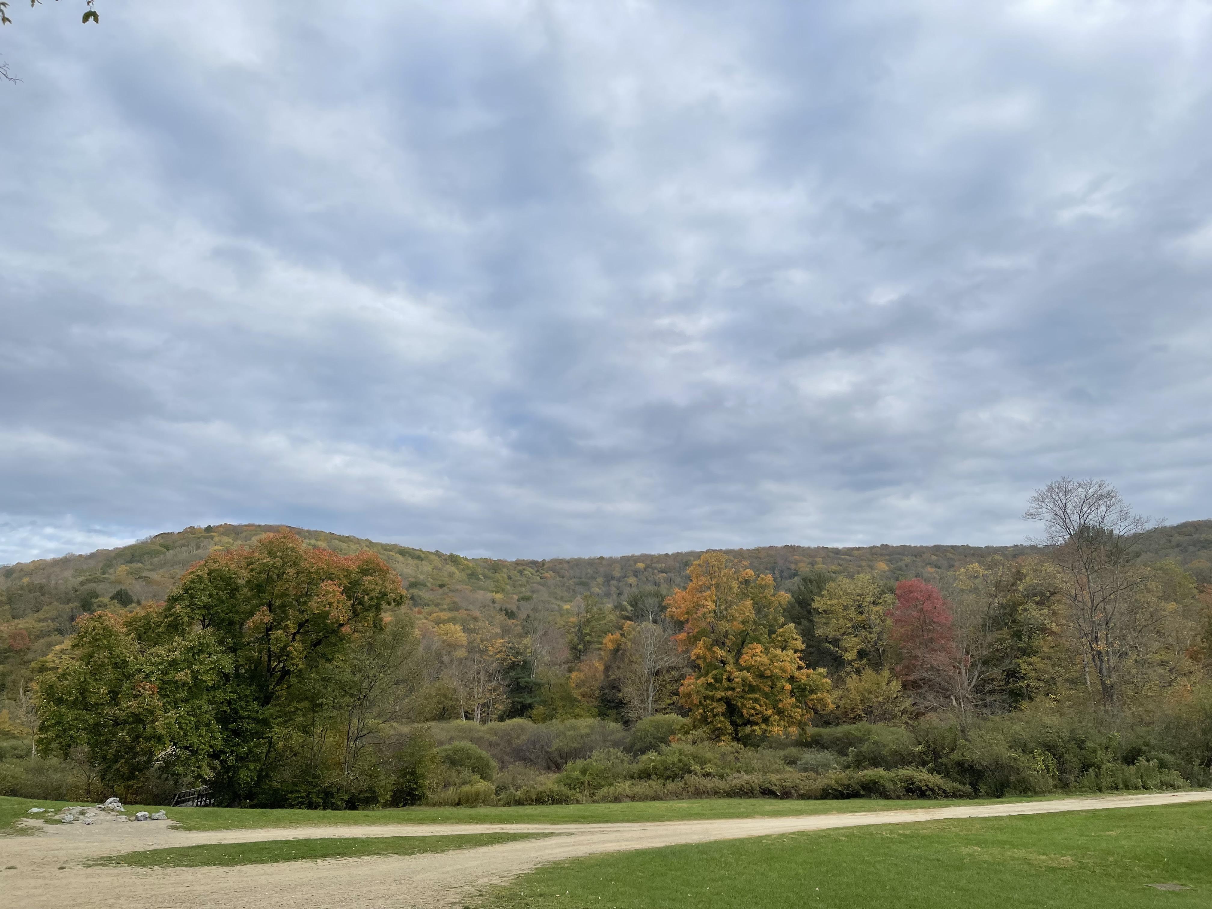 The Wedding Website of Rhiannon Genung and Daniel Zizzi