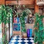 Cafe de Palo