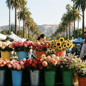 Flowers from the Farmer's Market