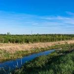 Eagle Marsh Nature Preserve