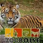 Zoo Boise