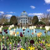 Lewis Ginter Botanical Garden