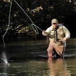 Fly Fishing