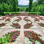 The North Carolina Arboretum