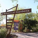 Springs Preserve