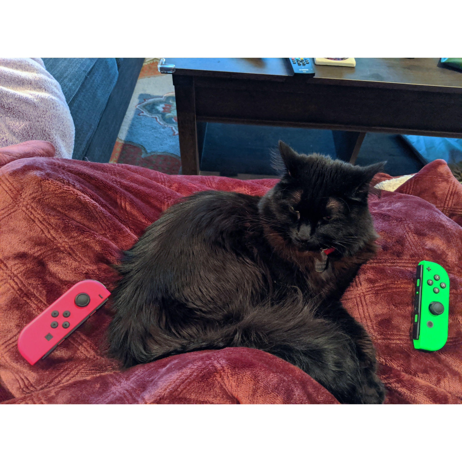 no games!! only sits!!