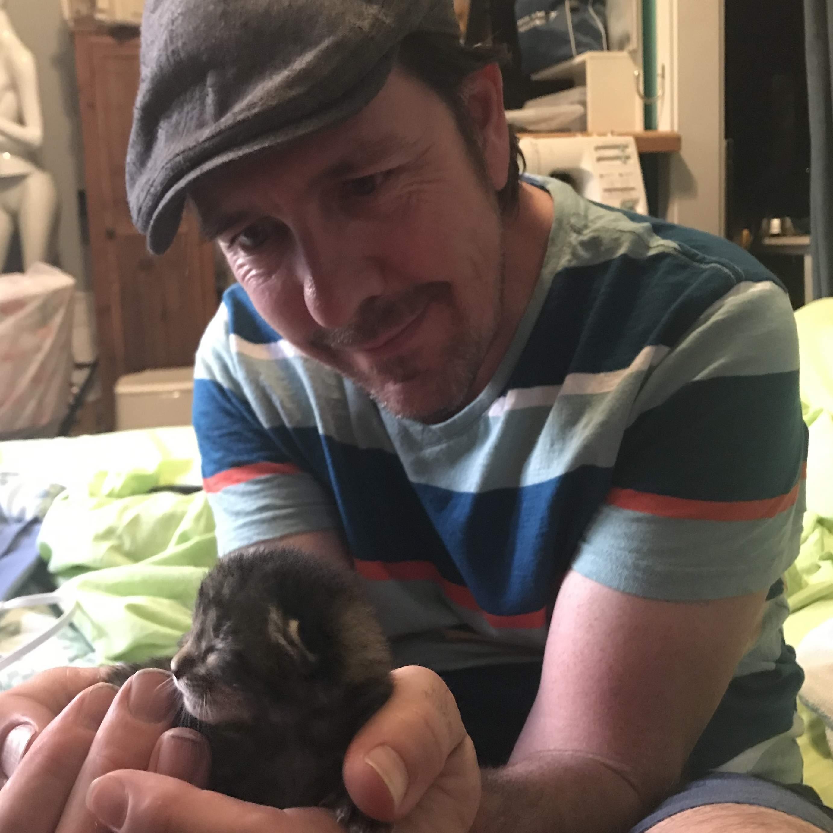 More kitties. 