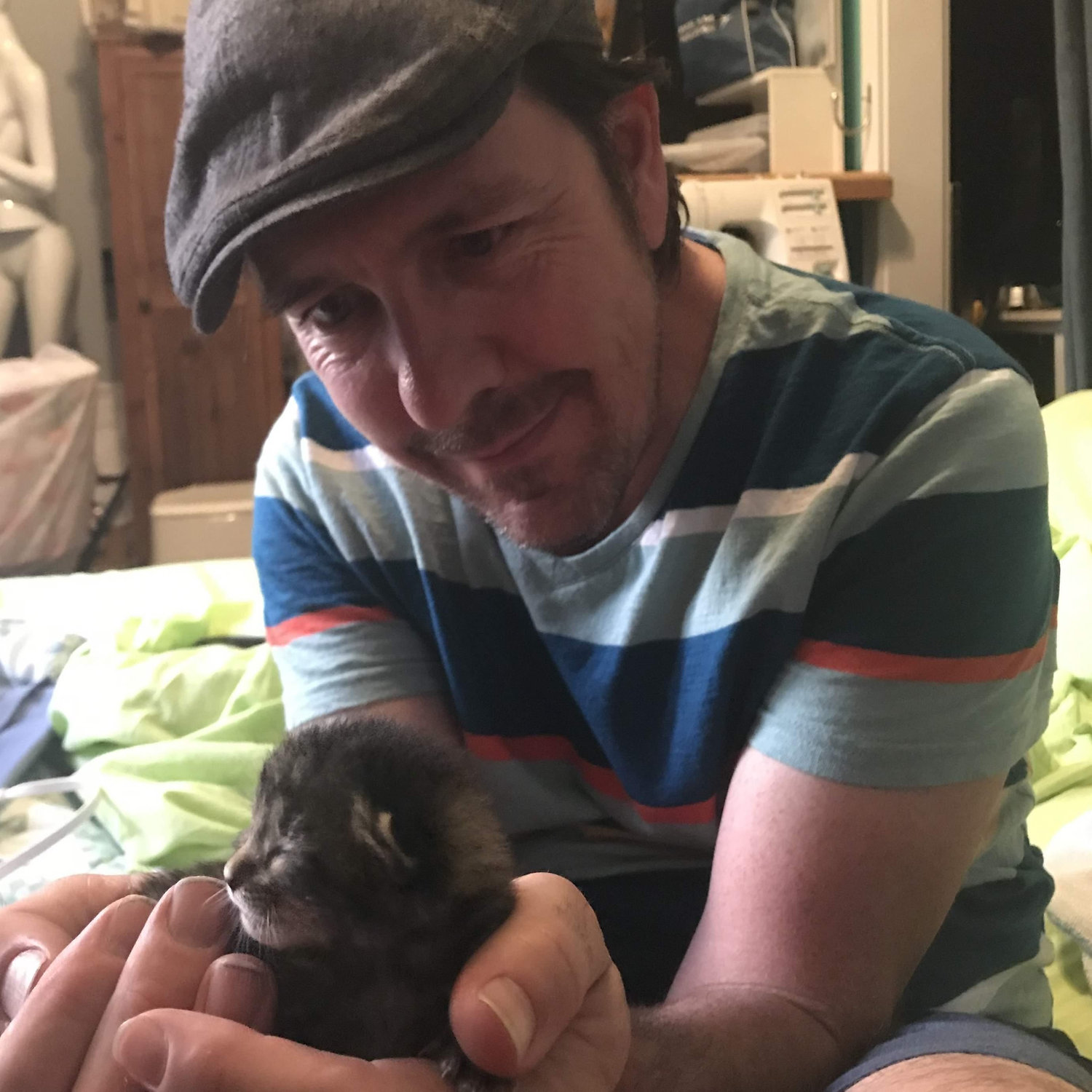 More kitties. 