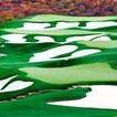 Top of the Rock Golf Course
