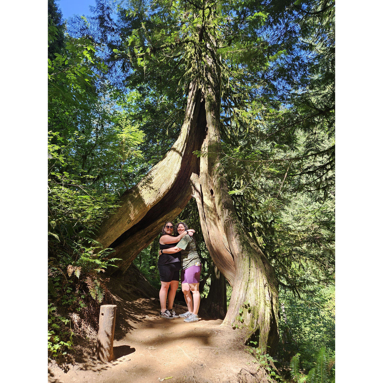 Portland Lovin'