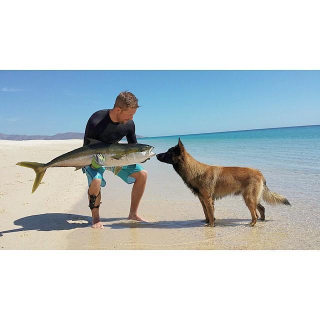 Spearfishing, Baja 2015
