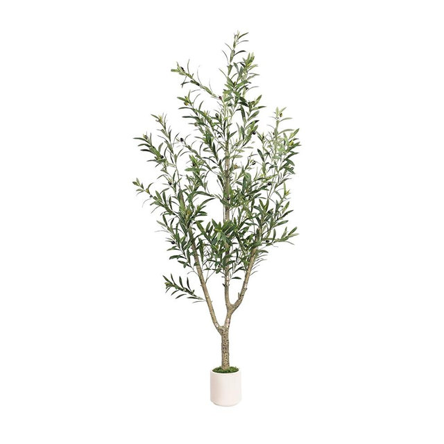 MCTYBB Olive Trees Artificial Indoor,Faux Olive Tree 6ft Tall 1Pack with White Planter,Fake Plants with Natural Olive Branches and Realistic Leaves for Home Decor Indoor
