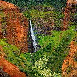 Waimea Canyon. Wailua River Boat and Fern Grotto Tour