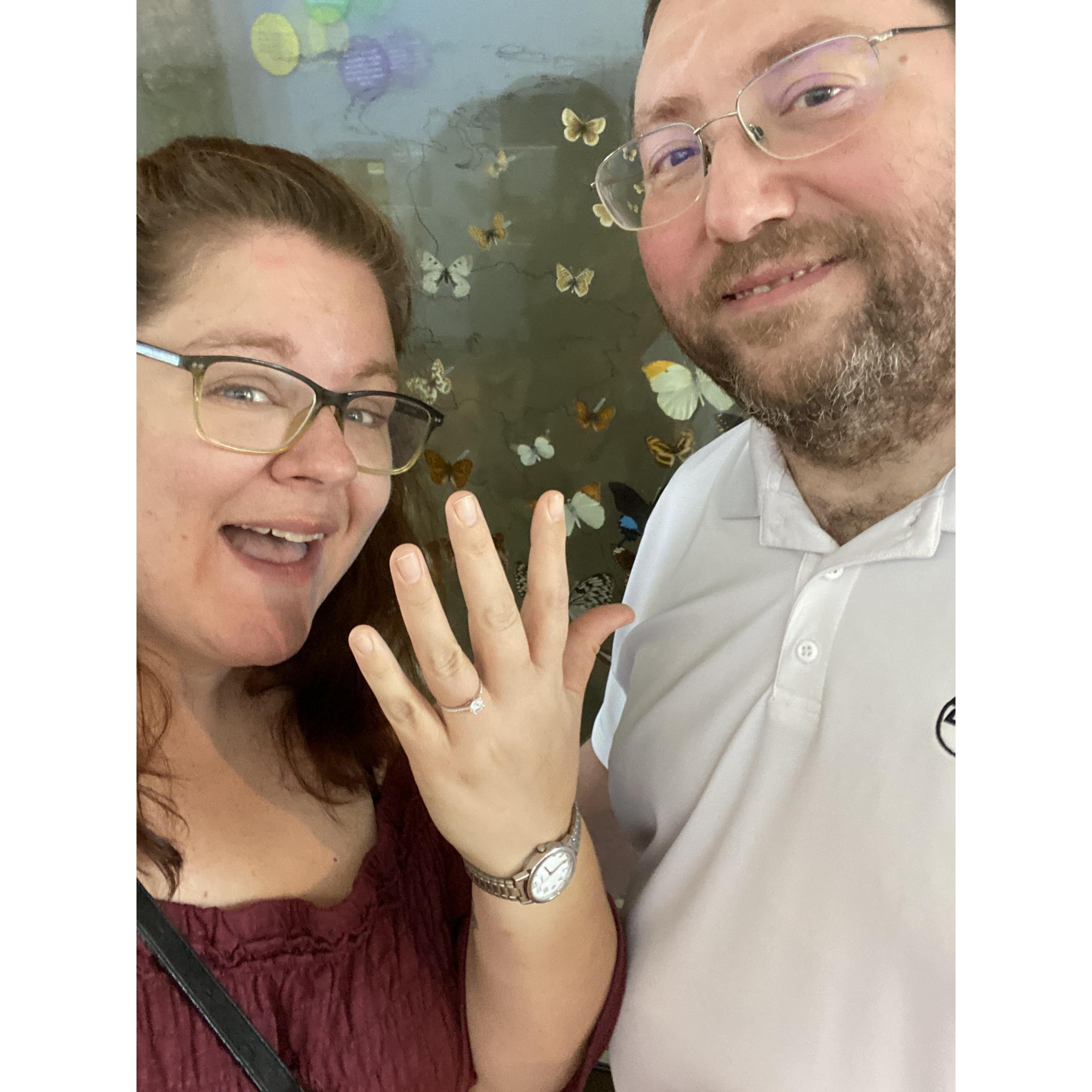Engaged at the Butterfly House.