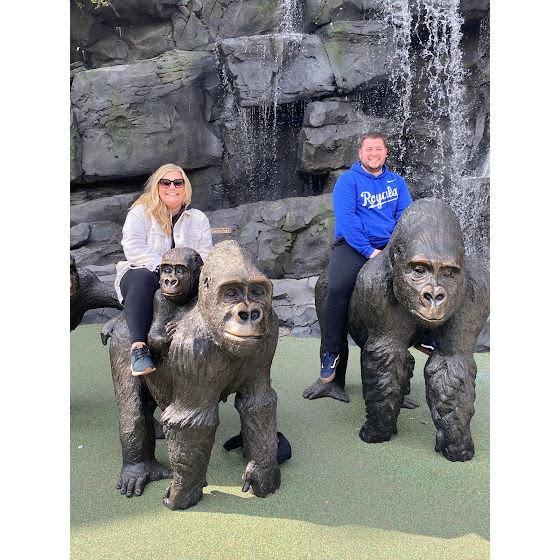 "Let's take a picture on the gorillas!"