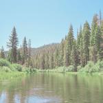 Float the Truckee River
