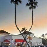 In-N-Out Burger