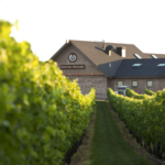 Newport Vineyards