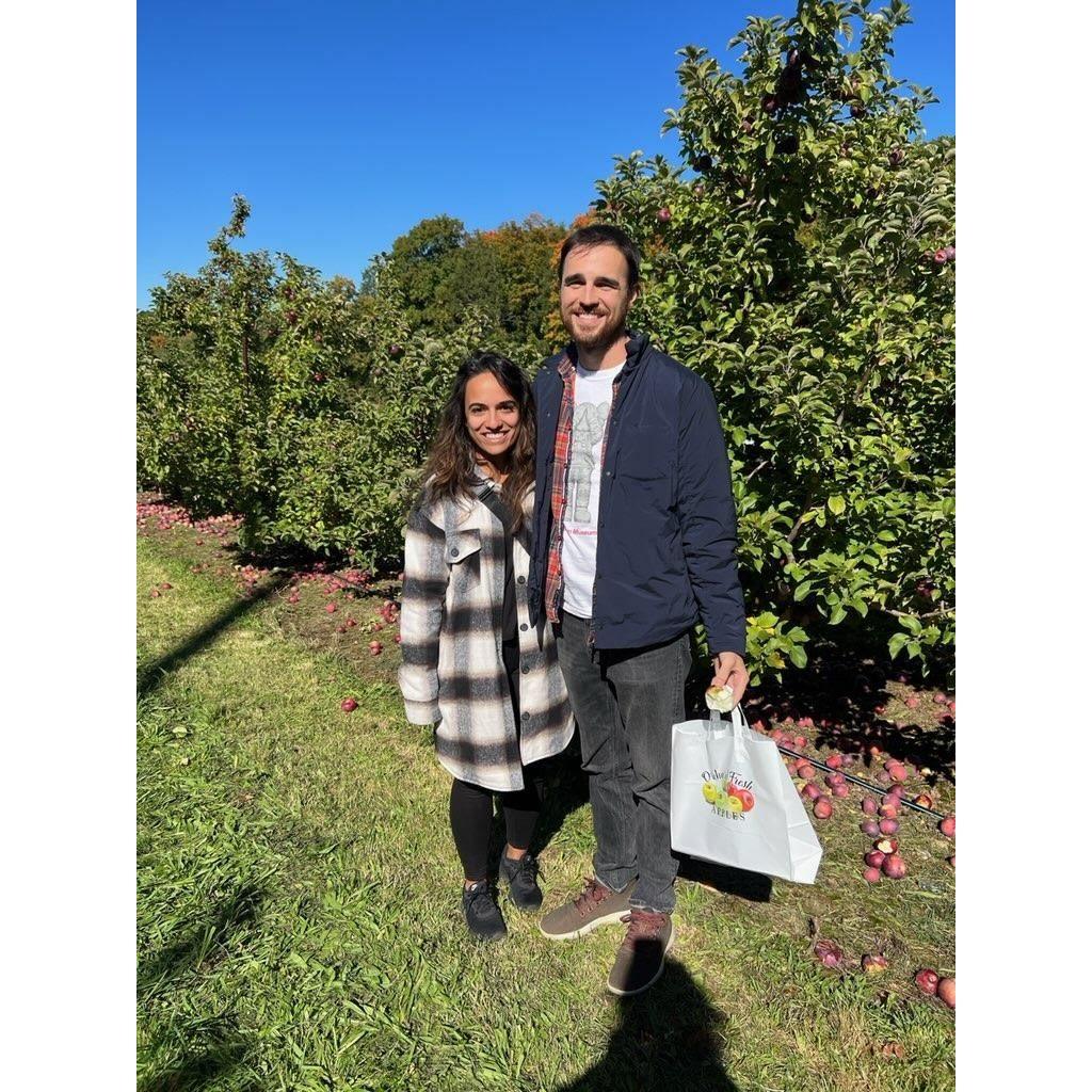 Apple picking in Connecticut