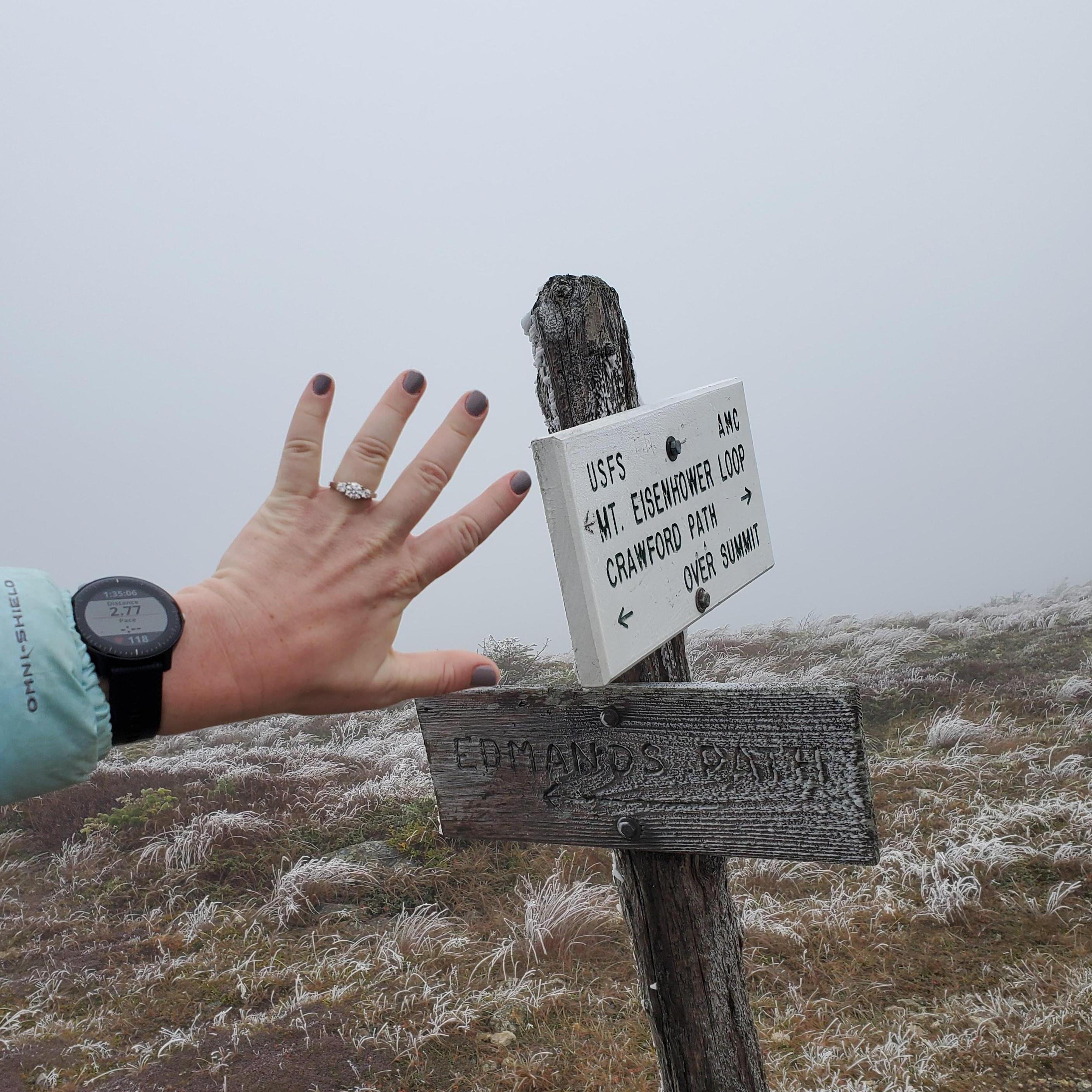 The weather did not fully cooperate on the day of the proposal