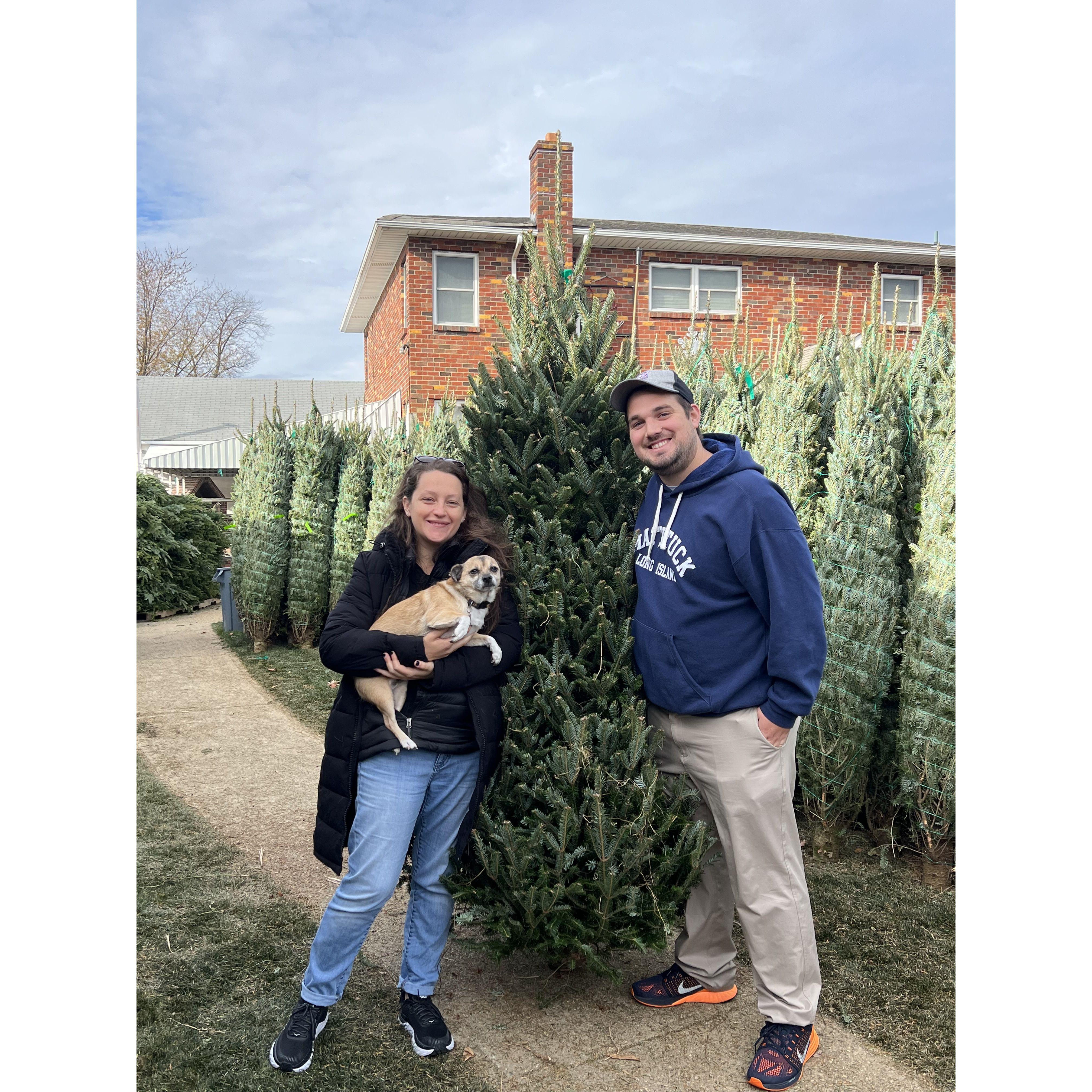 Picking out a Christmas Tree with Dexter at Broadway Garden