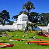 Golden Gate Park