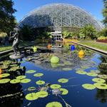 Missouri Botanical Garden