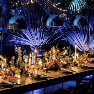 Honeymoon Dinner at Acre In Cabo