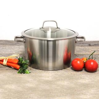 Essentials Manhattan Stainless Steel Covered Stockpot