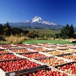 Hood River County Fruit Loop