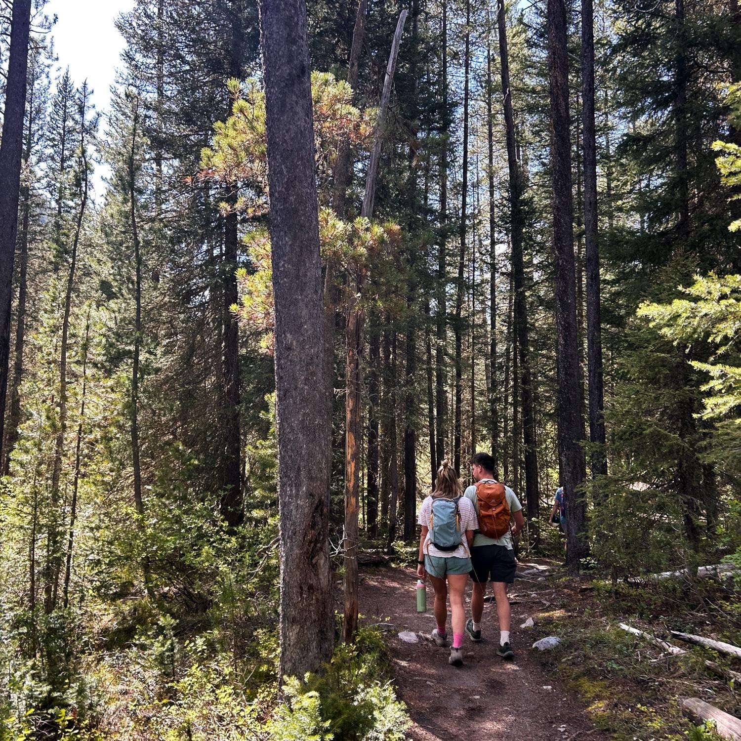 Hiking!