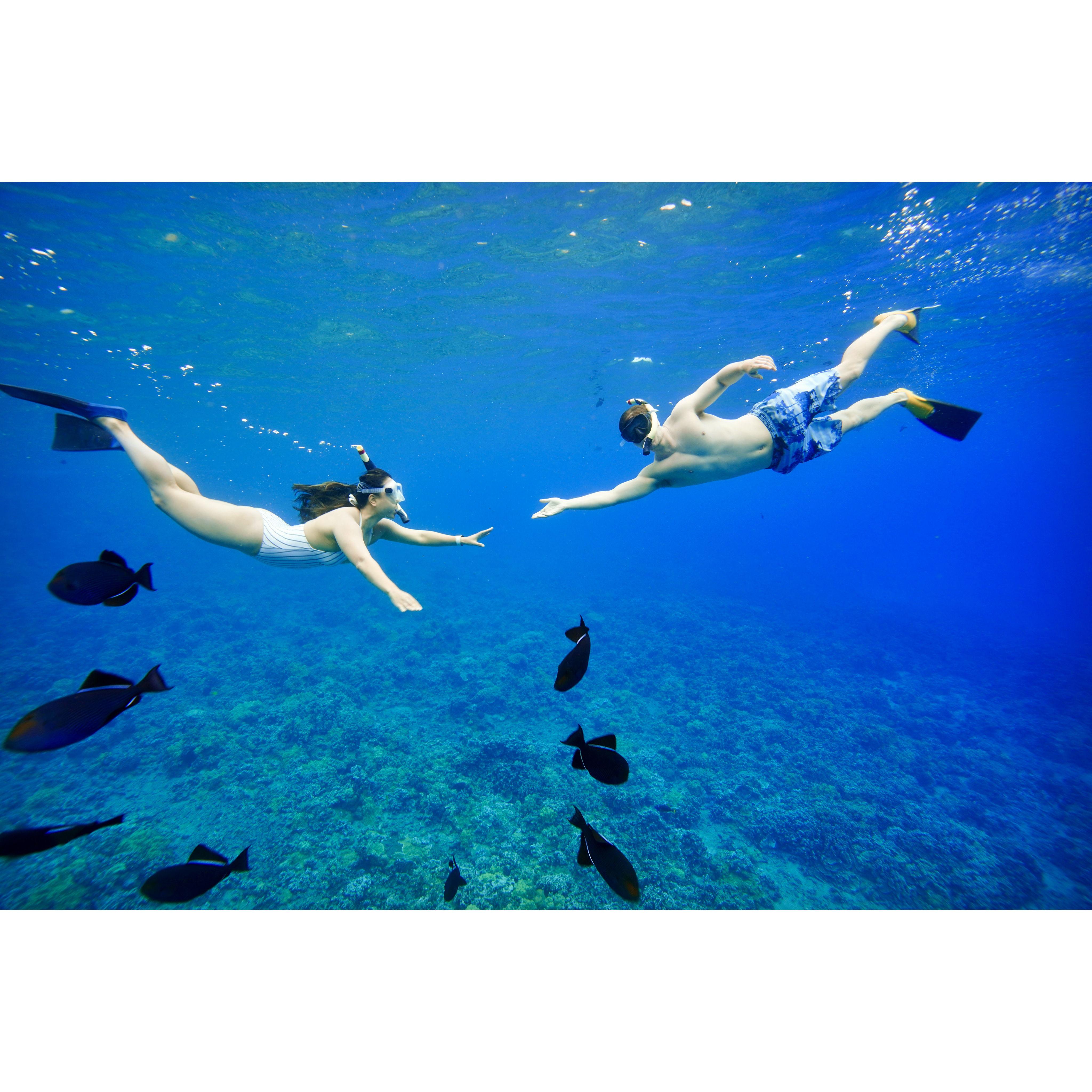 Maui, Hawaii: Molokini Crater (2022)