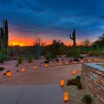 Desert Botanical Garden