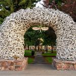 Jackson Hole’s Elk Antler Arch