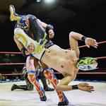 Lucha Libre Experience Tacos, Beer, & Mezcal