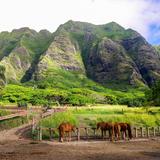 Kualoa Ranch