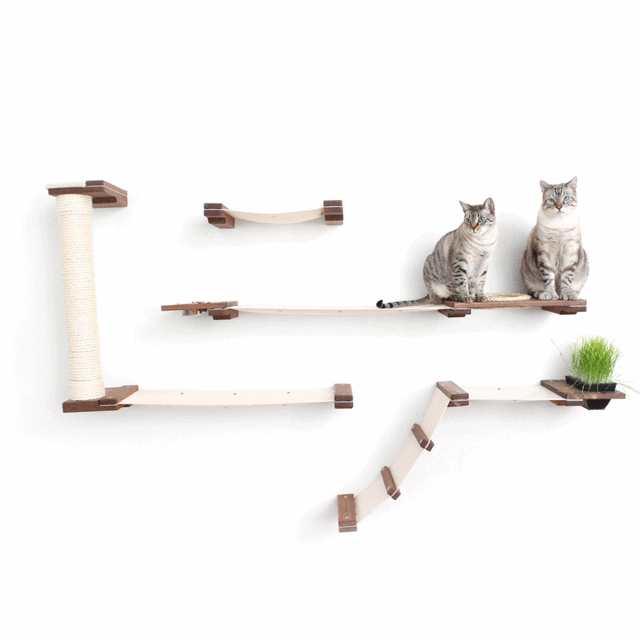 Cat Mod – Bunker