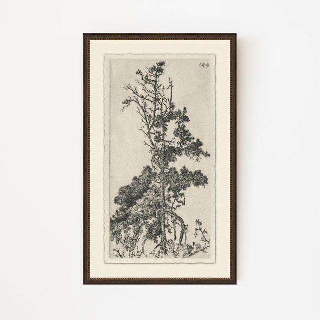 Tree Tops 5