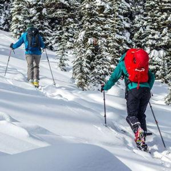 New Back Country Ski Gear