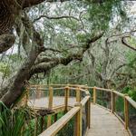 Jekyll Island